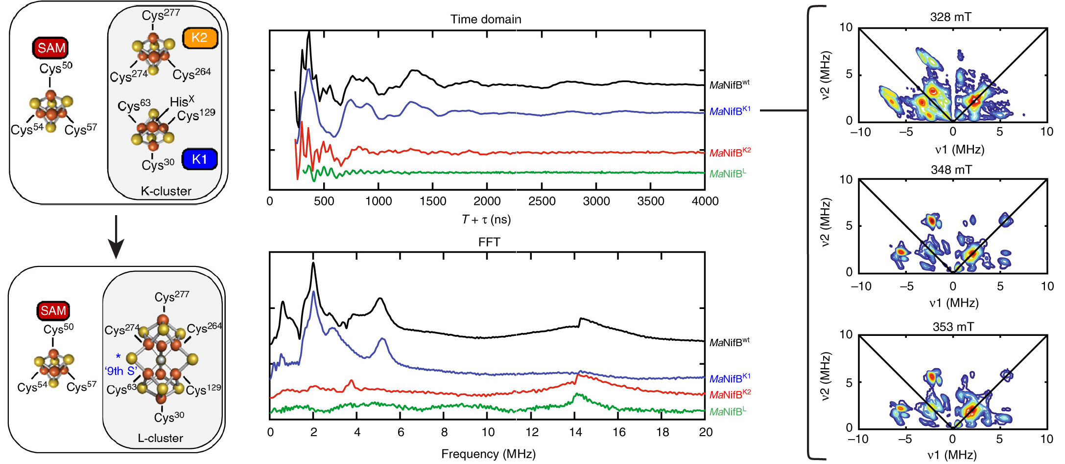 Research highlight from the Britt Lab