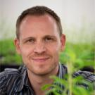Philipp Zerbe